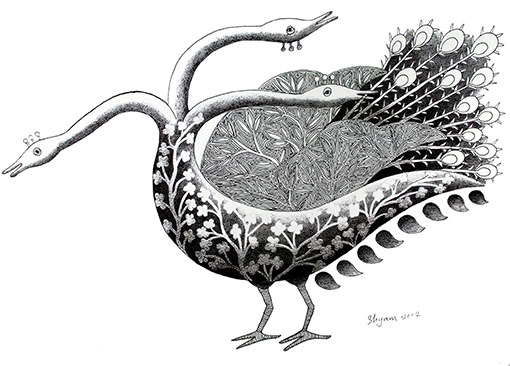 Peacock Hand Drawing Bird Wild Black Stock Vector (Royalty Free) 1165001260  | Shutterstock