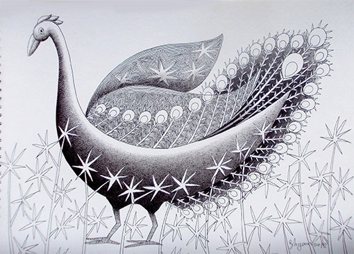 Beautiful Peacock Drawing - animalart